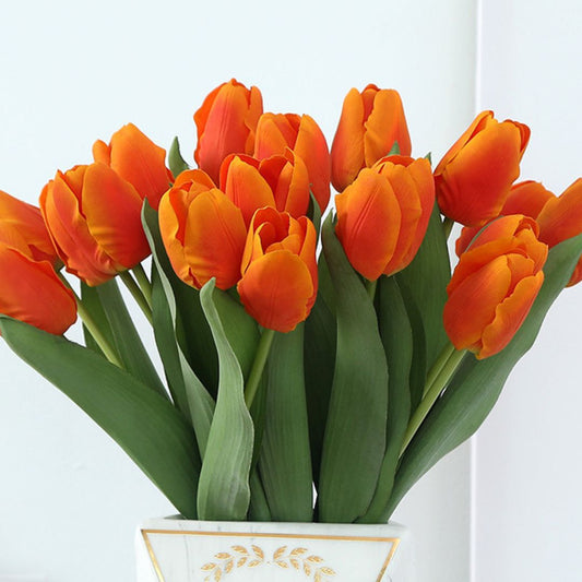 Tulips