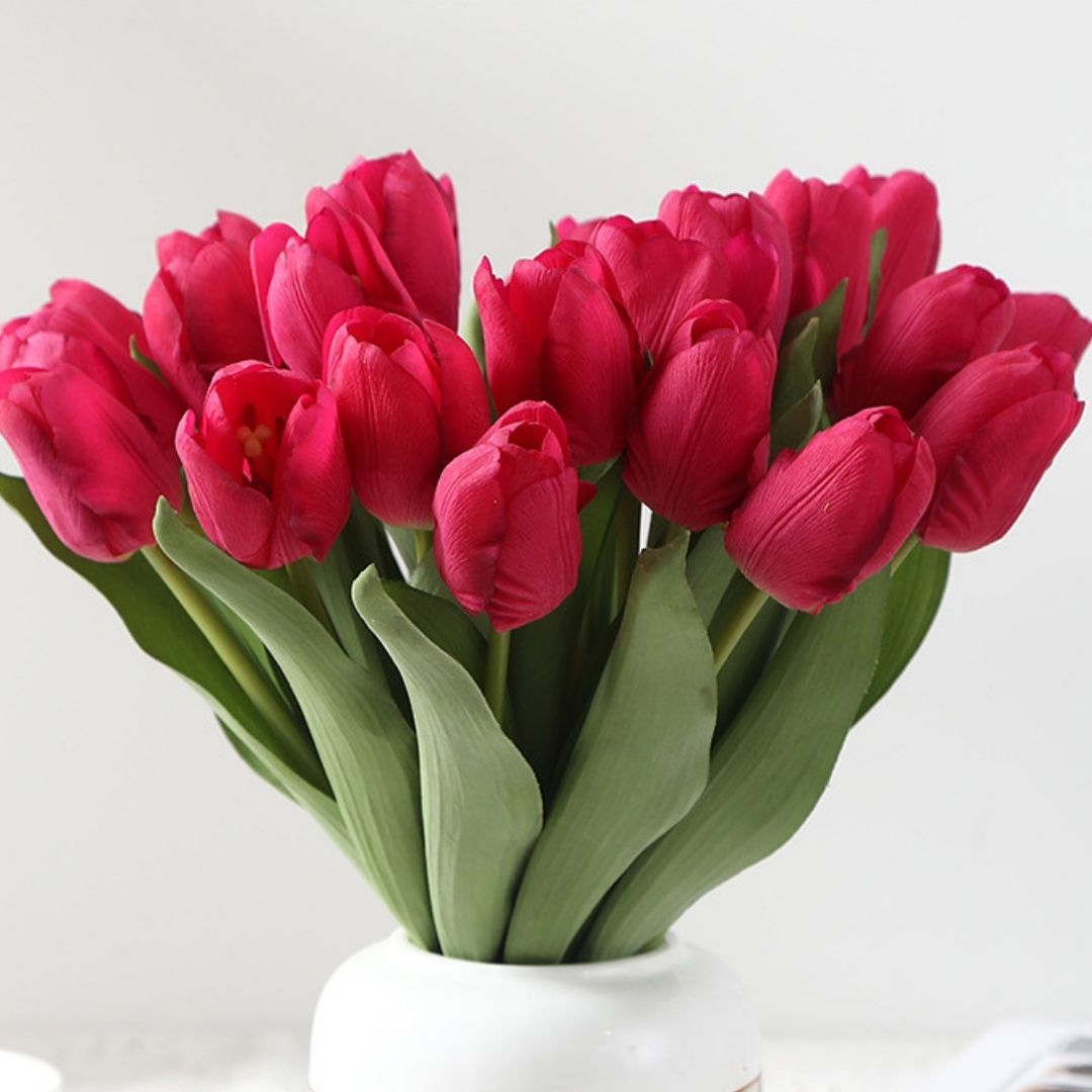 Tulips