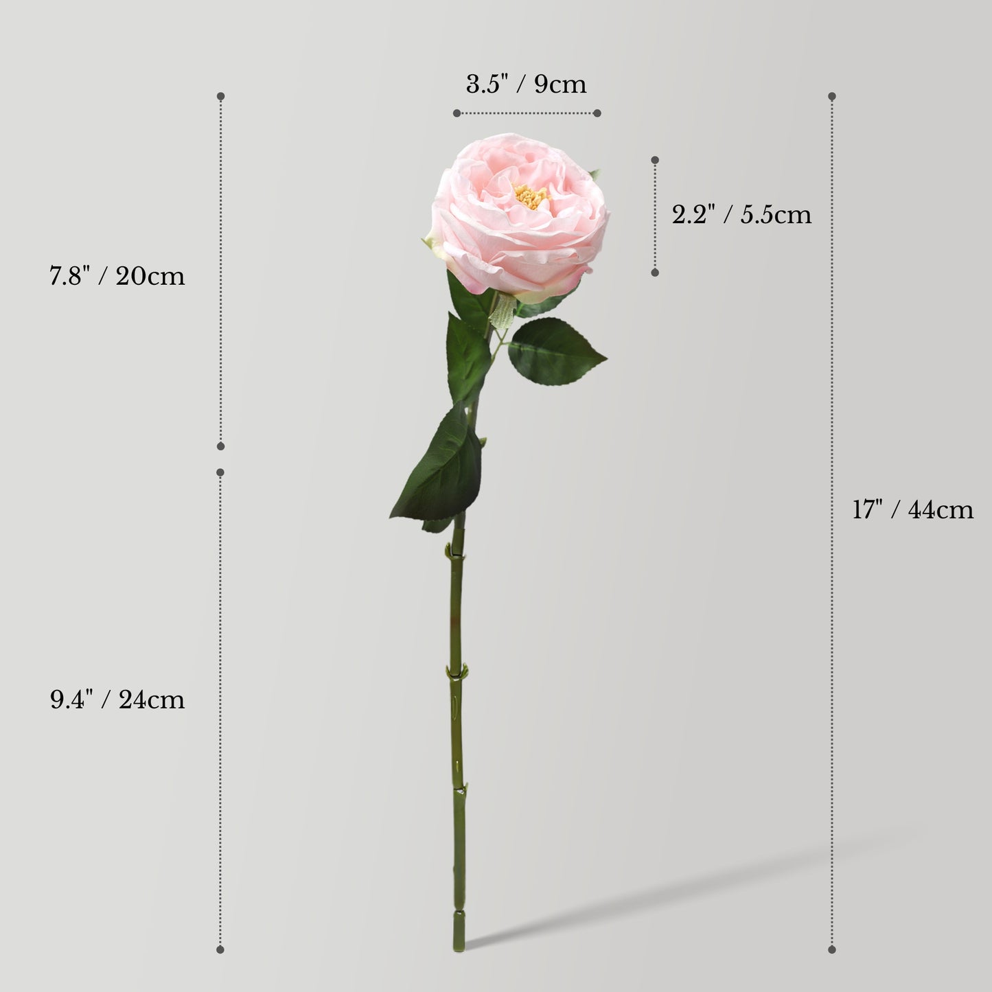 Real Touch Artificial Austin Roses, 6 Faux Rose Stems + 6 Eucalyptus Leaves